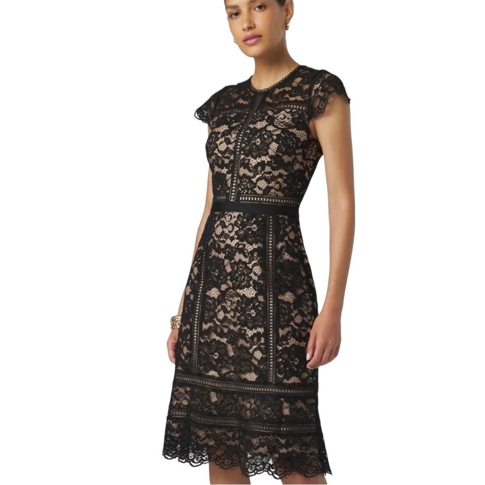 White House Black Market Fit-and-Flare A-line Dress Black Lace OverLay Size 14